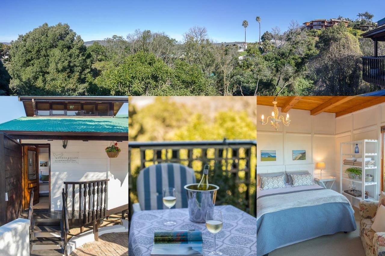 Knysna Escape Accommodation Екстериор снимка